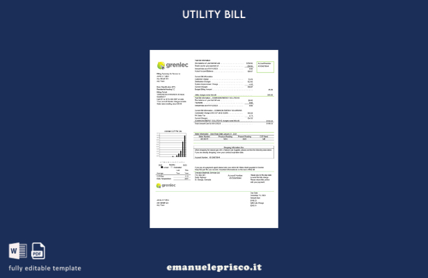 modello word di bolletta dei servizi elettrici di Grenada stile verificato